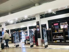 -谢列梅捷沃国际机场