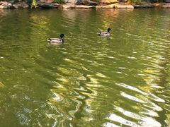 -长白岛森林公园