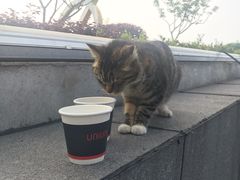 -UNI UNI(环亚凯瑟琳店)