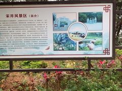 -宋井风景区