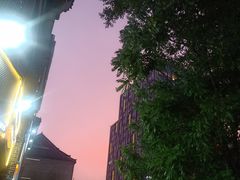 -楚媚娘炭火蛙锅(宽厚里店)