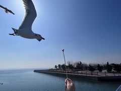 -烟墩角天鹅湖