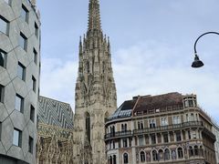-斯蒂芬主教座堂(Stephansdom)
