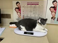 -瑞派康怡24h宠物医院·犬猫医疗中心·微创绝育(瑞景分院)