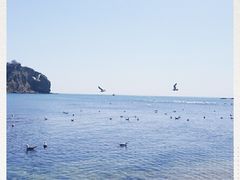-棒棰岛宾馆景区