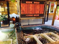 水产区-胖姐渔村(中源大道店)