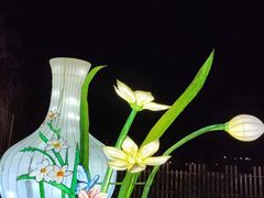 -祥源·阜阳生态乐园