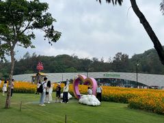 -野狸岛