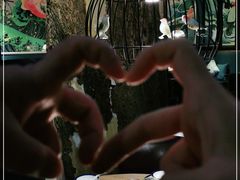 -茉莉餐厅(亳州高新万达广场希夷大道店)