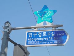 -金北顺大锅家(신사본점)