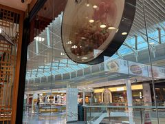 -阳阳中国饭(北京荟聚店)