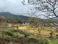-塔川景区