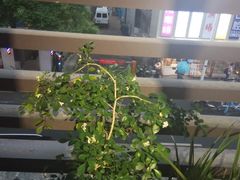 -尚岛私房菜(西方巷店)
