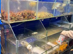 -红红海鲜大排档