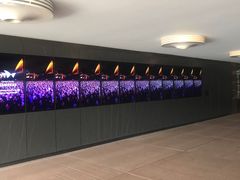 里面-悉尼歌剧院
