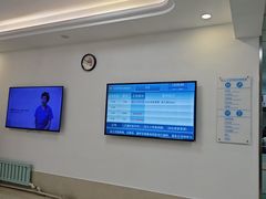 -北京观赏动物医院·24小时大型综合·猫专科·异宠专科
