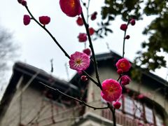 -思南公馆