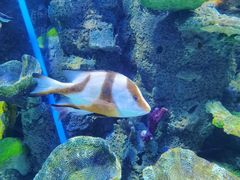 -石林冰雪海洋世界