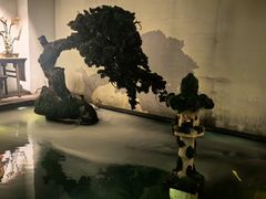 -觀芷隐轩