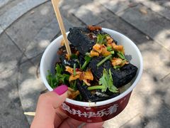 -黑色经典臭豆腐·湖南特产(坡子街店)