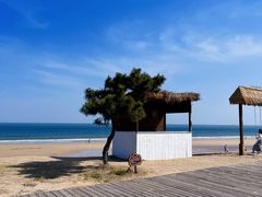 -巧克力渔家.小船海鲜胶东菜(万平口店)