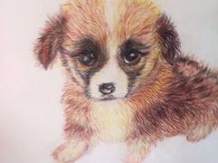 -蒂朵儿童绘画美术教室