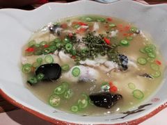 -猫头婴小酒馆FUN OWL(1912店)
