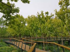 -东郊湿地公园