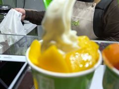 -Salud撒露欧洲冻酸奶(北苑上品店)