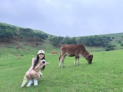 -大姆山草场