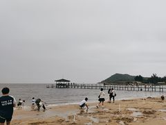 -汕尾风车岛