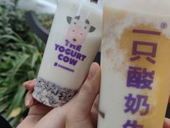 -一只酸奶牛(奎星楼店)