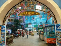 -蓬莱欧乐堡梦幻世界