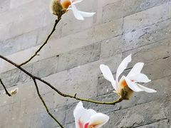 -东华门大街小区