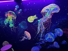 -成都浩海立方海洋公园