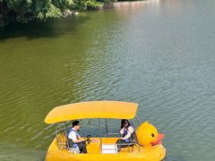 -珠海圆明新园
