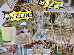 -瑞派动物医院·猫专科·至诚(江南中分院)