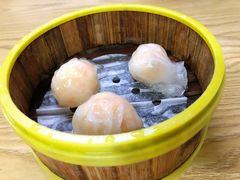 虾饺皇-杨记杏仁茶(椰园店)