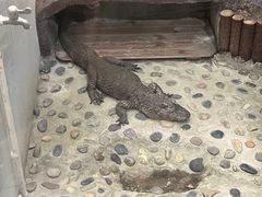 -上海大自然野生昆虫馆(东方明珠·爬宠昆虫探索中心)