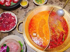 鸳鸯锅-小龙坎老火锅(鹤伴一路店)