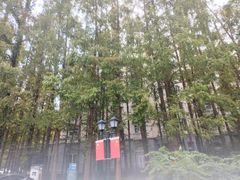 -上海虹桥迎宾馆