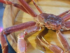 -綱元·海鲜豆捞(明州里店)