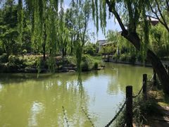 -台儿庄古城