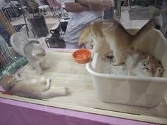 -宁波鄞州万达广场