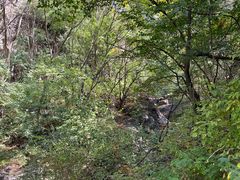 -云岫谷自然风景区
