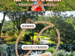 -东莞植物园