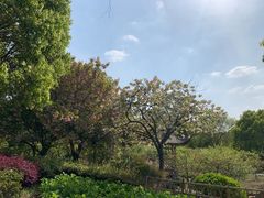 -白马涧龙池景区