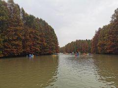 -上海海湾国家森林公园