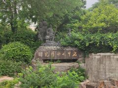 -石老人观光园