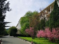 -济南南郊宾馆